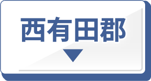 西有田郡